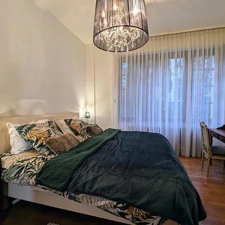 Cosy A Saint-die-des-vosges, Parking Et Wifi Inclus - Fr-1-589-775 * Saint-Die-des-Vosges