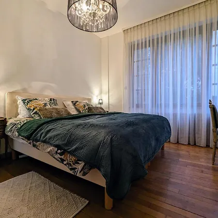 Lejlighed Cosy A Saint-die-des-vosges, Parking Et Wifi Inclus - Fr-1-589-775